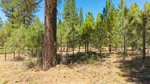 1810 Valley Ranch Dr, Clio, CA 96106 photo 2