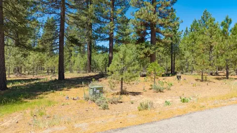1810 Valley Ranch Dr, Clio, CA 96106 photo 8