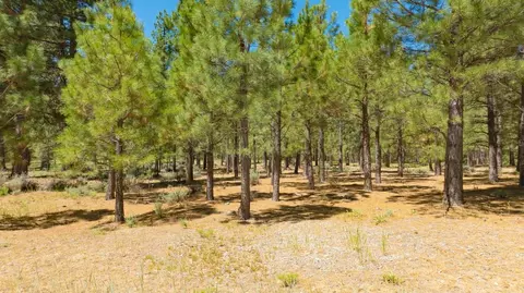1810 Valley Ranch Dr, Clio, CA 96106 photo 9