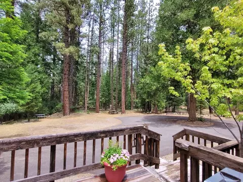 80 Tolowa Trl, Graeagle, CA 96103 photo 29