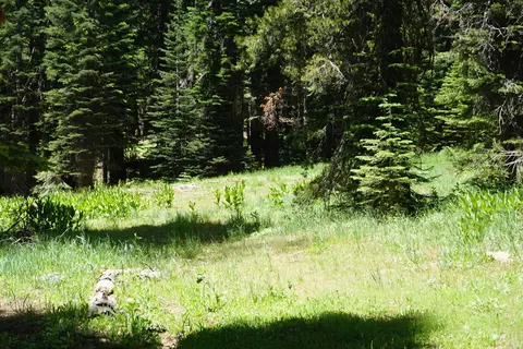 1116 Highlands Rd, Bucks Lake, CA 95956