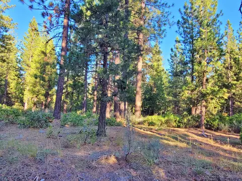 275 Sage Rd, Clio, CA 96106 photo 5