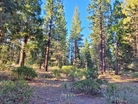 275 Sage Rd, Clio, CA 96106 photo 2