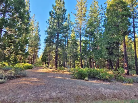 275 Sage Rd, Clio, CA 96106
