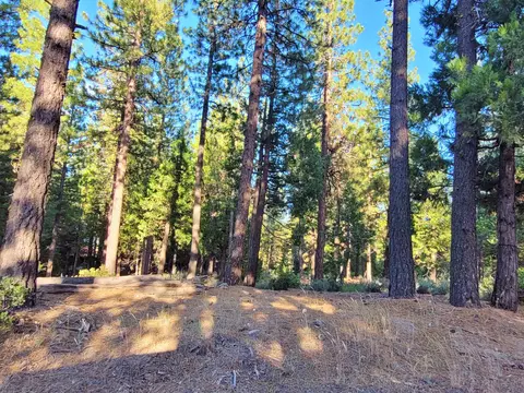 275 Sage Rd, Clio, CA 96106 photo 6