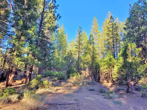 275 Sage Rd, Clio, CA 96106 photo 9