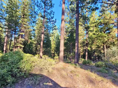 275 Sage Rd, Clio, CA 96106 photo 4