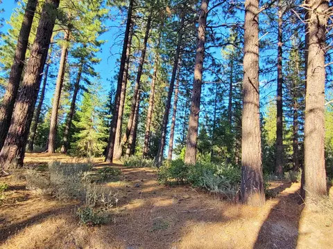 275 Sage Rd, Clio, CA 96106 photo 7
