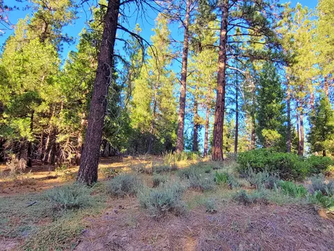 275 Sage Rd, Clio, CA 96106 photo 8