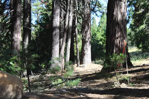 619 W Burnt Cedar Rd, Lake Almanor, CA 96137