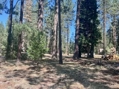 425 Lundy Ln, Blairsden, CA 96103 photo 15