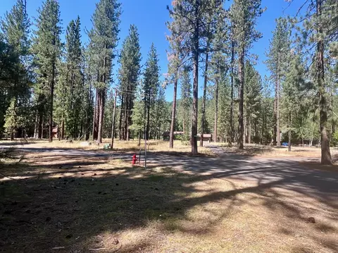 425 Lundy Ln, Blairsden, CA 96103 photo 17
