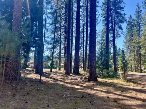 425 Lundy Ln, Blairsden, CA 96103 photo 3