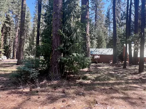 425 Lundy Ln, Blairsden, CA 96103 photo 9
