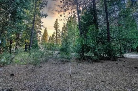 69477 N Mohawk Vista Dr, Blairsden, CA 96103 photo 6