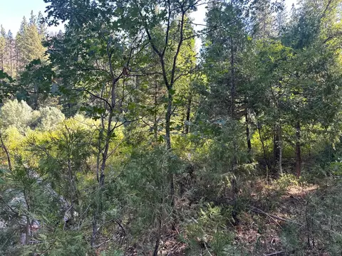 Other - 187 Riverview Ln, Twain, CA 95984 photo 4 of 5