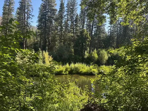 View/Area - 187 Riverview Ln, Twain, CA 95984 photo 5 of 7