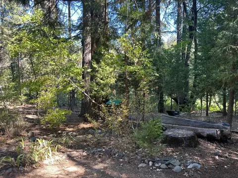 Exterior - 187 Riverview Ln, Twain, CA 95984 photo 7 of 8