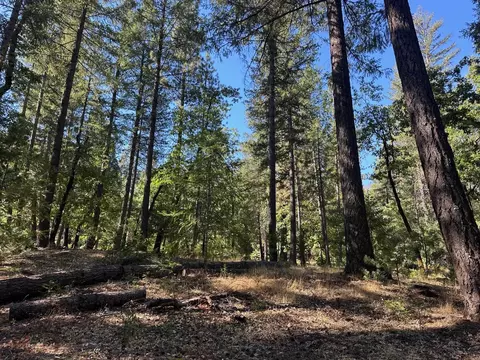 Exterior - 187 Riverview Ln, Twain, CA 95984 photo 6 of 8