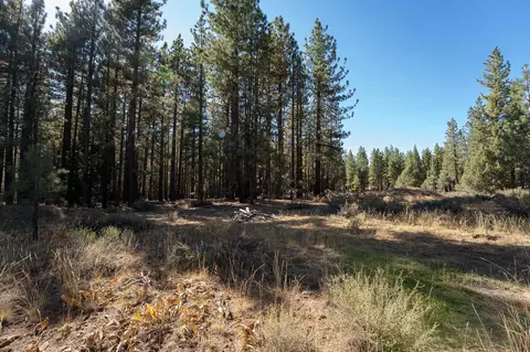 149 Bear Way, Portola, CA 96122