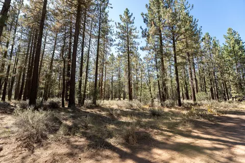 225 Cougar Way, Portola, CA 96122