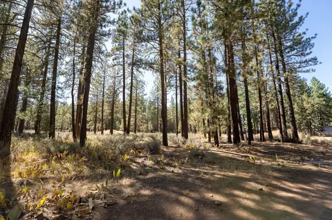 222 Bear Way, Portola, CA 96122