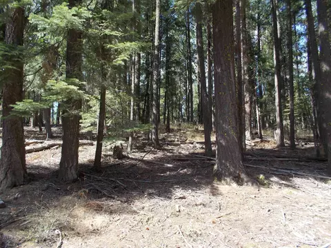 2480 Fern Ridge Ln, Quincy, CA 95971