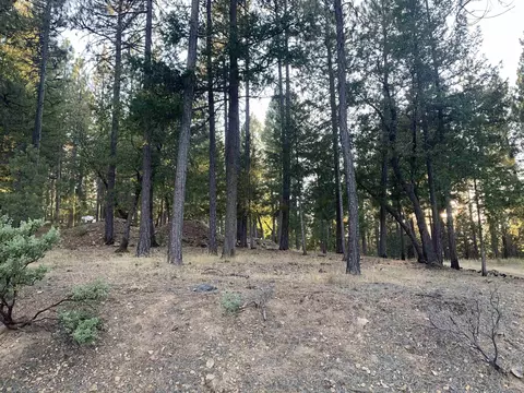 2776 Ridgerun Rd, Quincy, CA 95971