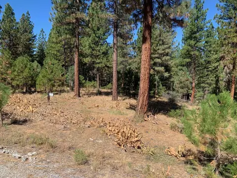 145 Blacktail Rdg, Portola, CA 96122