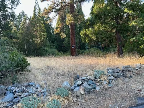 59685 Forest Ln, Cromberg, CA 96103 photo 2