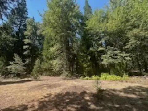 59685 Forest Ln, Cromberg, CA 96103 photo 3