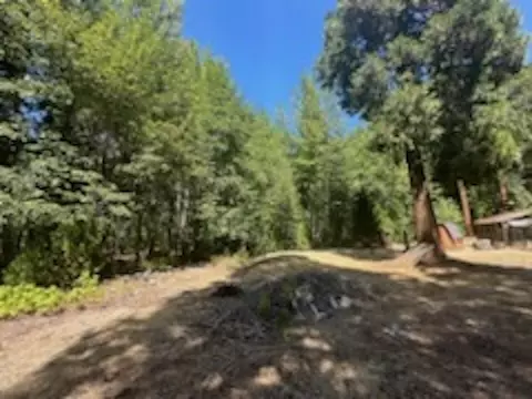 59685 Forest Ln, Cromberg, CA 96103 photo 4