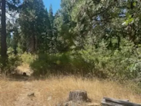 59685 Forest Ln, Cromberg, CA 96103 photo 8