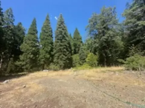 59685 Forest Ln, Cromberg, CA 96103 photo 6