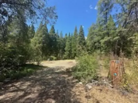 59685 Forest Ln, Cromberg, CA 96103 photo 7