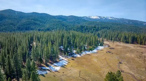 87 Nuthatch St, Clio, CA 96106 photo 3