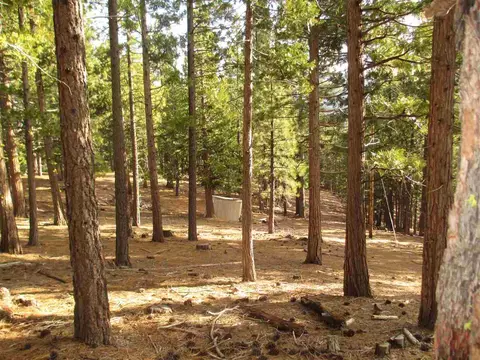 2474 Beaver Rd, Clio, CA 96106 photo 17