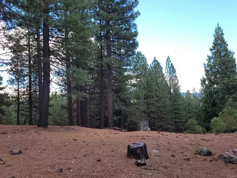 2474 Beaver Rd, Clio, CA 96106 photo 9