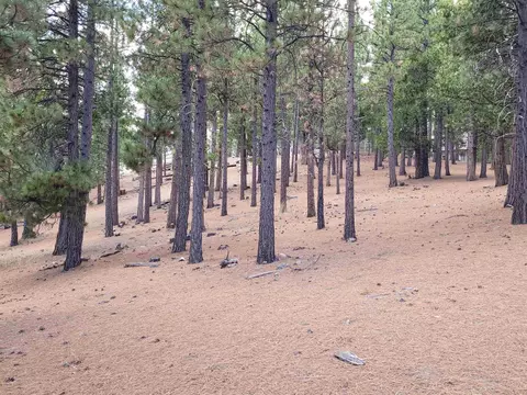 2474 Beaver Rd, Clio, CA 96106 photo 21