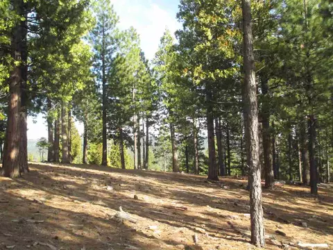 2474 Beaver Rd, Clio, CA 96106 photo 19
