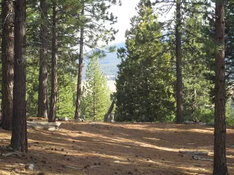 2474 Beaver Rd, Clio, CA 96106 photo 15