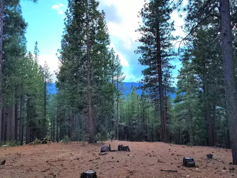 2474 Beaver Rd, Clio, CA 96106 photo 8