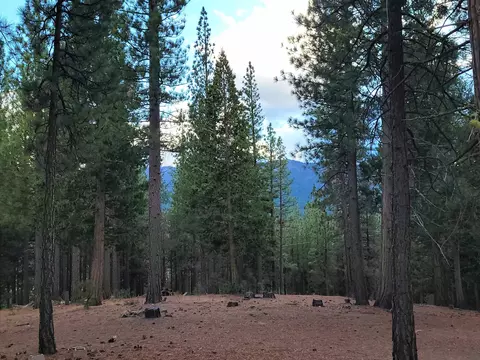 2474 Beaver Rd, Clio, CA 96106 photo 6