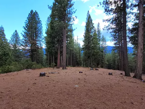 2474 Beaver Rd, Clio, CA 96106 photo 10