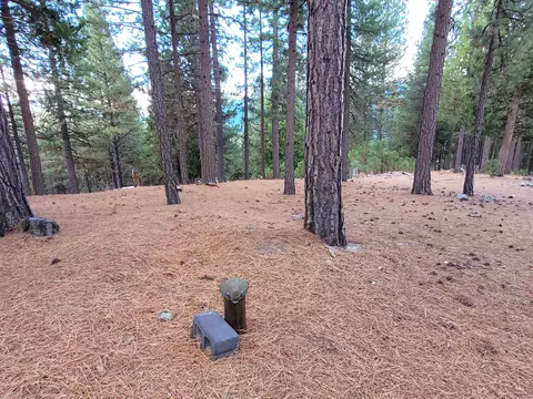 2474 Beaver Rd, Clio, CA 96106 photo 13