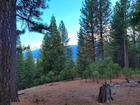 2474 Beaver Rd, Clio, CA 96106 photo 5