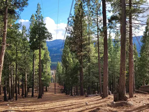 2474 Beaver Rd, Clio, CA 96106 photo 3
