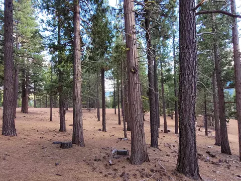 2474 Beaver Rd, Clio, CA 96106 photo 18