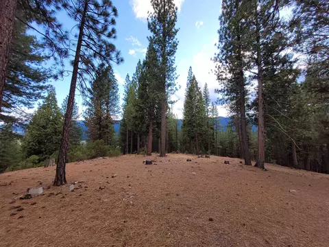 2474 Beaver Rd, Clio, CA 96106 photo 7