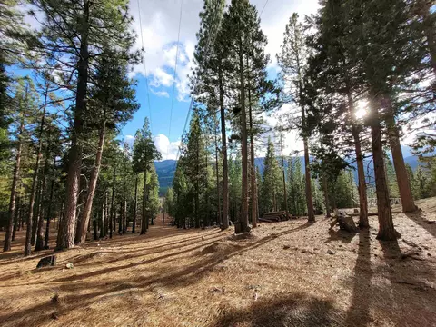 2474 Beaver Rd, Clio, CA 96106 photo 12